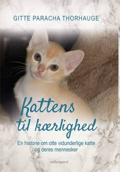 Kattens til kærlighed : en historie om otte vidunderlige katte og deres mennesker