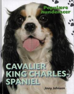 Cavalier King Charles-spaniel