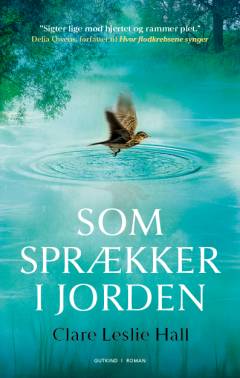 Som sprækker i jorden