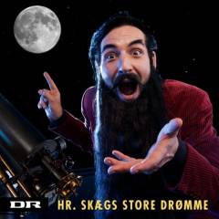 Hr. Skægs store drømme