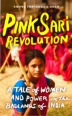 Pink sari revolution : a tale of women and power in the badlands of India