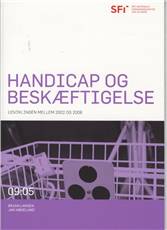 Handicap og beskæftigelse : \udviklingen mellem 2002 og 2008\