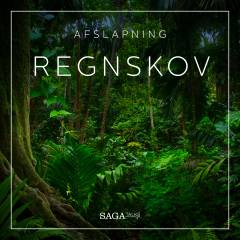 Regnskov