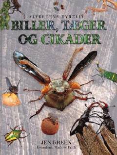 Biller, tæger og cikader