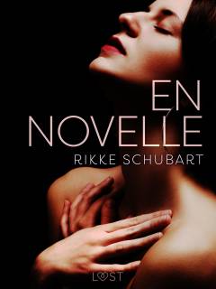 En novelle