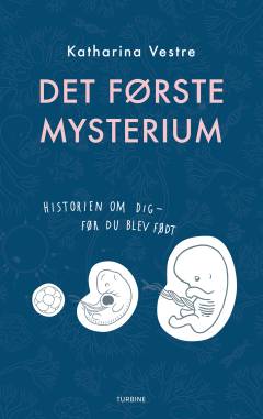 Det første mysterium : historien om dig - før du blev født