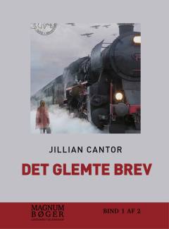 Det glemte brev. Bind 1 (Stor skrift)