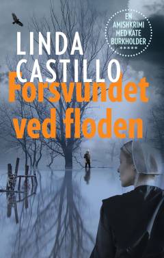 Forsvundet ved floden : en Kate Burkholder-novelle