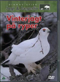 Vinterjagt på ryper