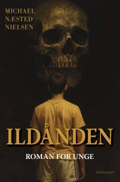 Ildånden : roman for unge