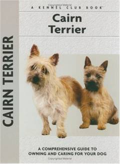 Cairn Terrier