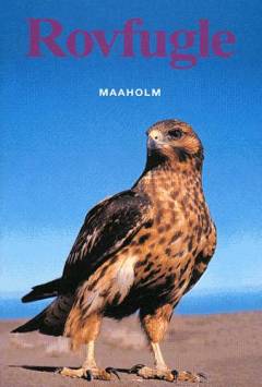 Bog, 1. udgave, 2001