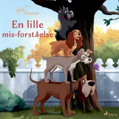 En lille mis-forståelse