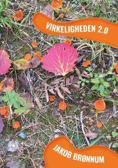 Virkeligheden 2.0 : digte