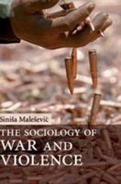 The sociology of war and violence