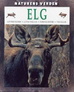 Bog, 2003