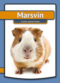 Marsvin