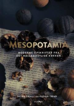 Mesopotamia : moderne opskrifter fra det mellemøstlige køkken