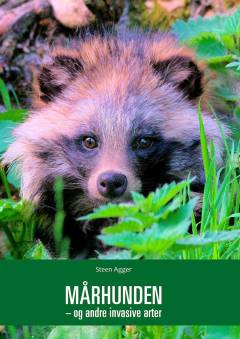 Mårhunden - og andre invasive arter