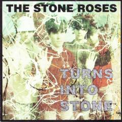Turns into stone