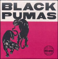Black Pumas