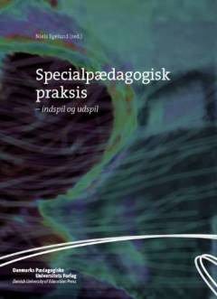 Specialpædagogisk praksis : indspil og udspil
