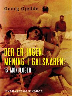 Der er ingen mening i galskaben : 13 monologer