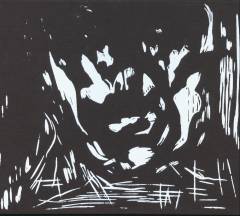 Bog, 2014