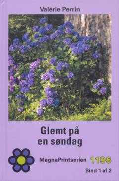 Glemt på en søndag. Bind 1 (Stor skrift)