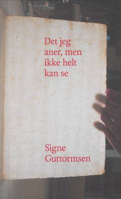 Det jeg aner, men ikke helt kan se