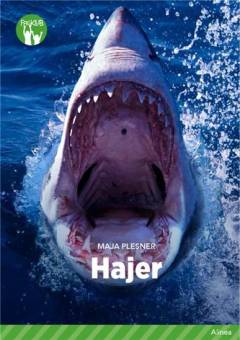 Hajer