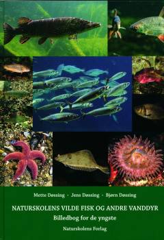 Billedbog, 1. udgave, 2017