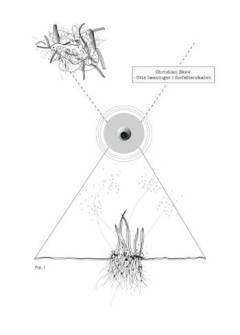 Christian Skov : læsninger i forfatterskabet