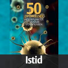 Istid og istider