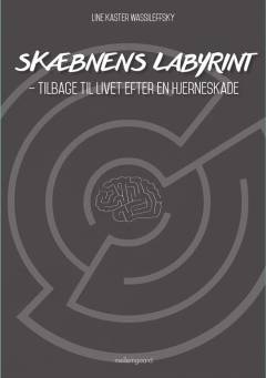 Skæbnens labyrint : tilbage til livet efter en hjerneskade
