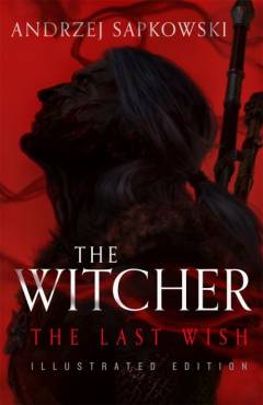 The last wish introducing the Witcher