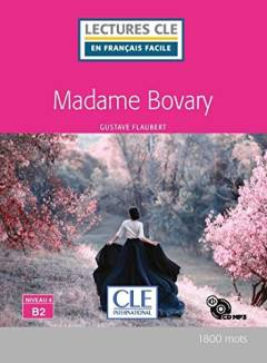 Madame Bovary : mœurs de province