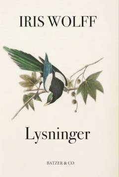 Lysninger
