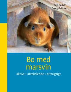 Bo med marsvin : aktivt, afvekslende, artsrigtigt