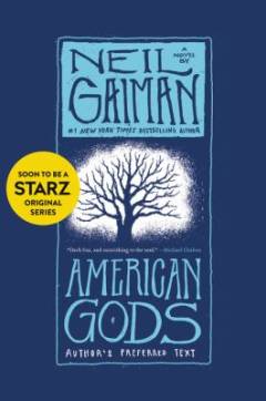 American gods : a novel