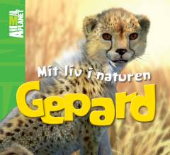 Gepard