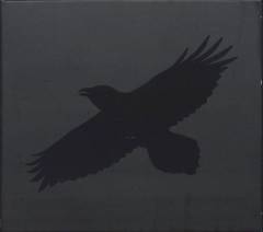 Odin's raven magic