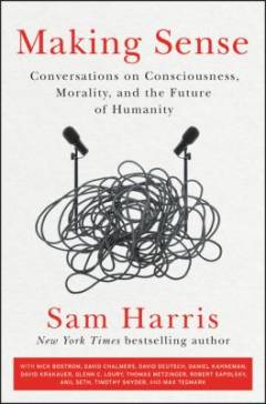 Making sense : conversations on consciousness, morality, and the future of humanity
