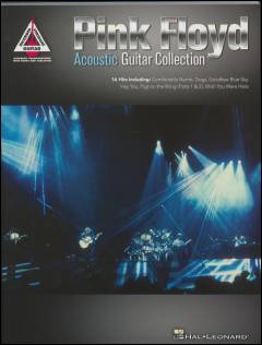 Acoustic guitar collection