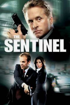Film (dvd), 2007