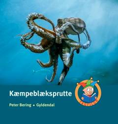 Kæmpeblæksprutte