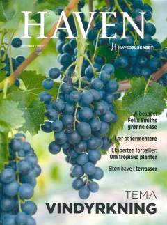 Haven