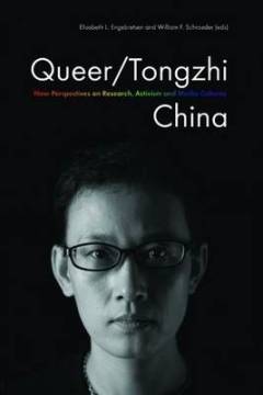 Queer-Tongzhi China : new perspectives on research, activism and media cultures