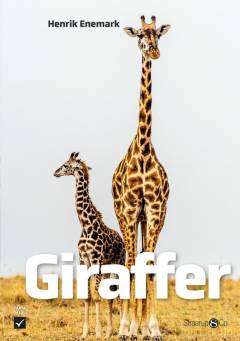 Giraffer