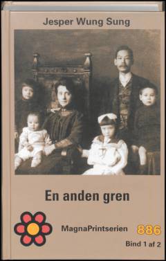 En anden gren. Bind 1 (Stor skrift)